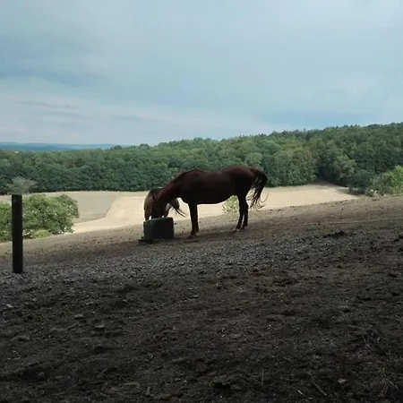 Ferienwohnung/monteurwohnung Am Badesee Bei Kassel