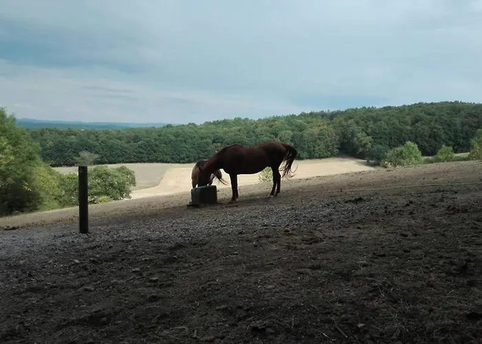 Ferienwohnung/monteurwohnung Am Badesee Bei Kassel